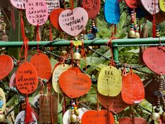 -西双版纳原始森林公园