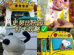 -史努比缤纷世界