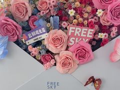 -Free Sky 云际观光层