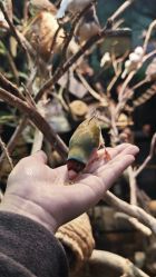 -Zoolung Zoolung动物主题公园(海信广场店)