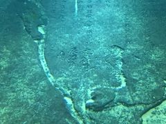 -白鹤梁水下博物馆