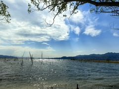 -野鸭湖国家湿地公园