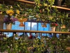 -芭缇沁园椰子鸡(中航紫金新天地店)