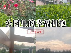 -仁和公园(顺义区)