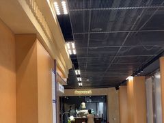 -帕帕拉兹宠物(亚洲旗舰店)