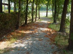 -上海海湾国家森林公园