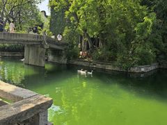 -观潮胜地公园