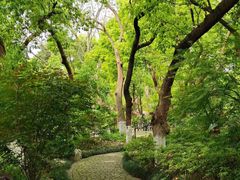 -吴山景区