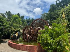 -品德宏·孔雀宴的发源地(金塔园店)