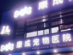 -康成宠物医院24H·CT·核磁共振