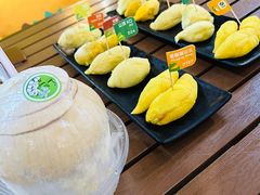 -榴莲BB 四季果园