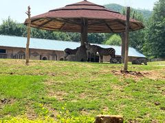 -石家庄市动物园