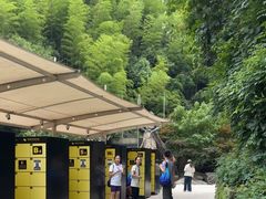 -将军关探险漂流