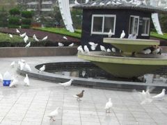 -海河外滩公园