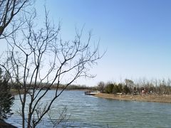 -东郊湿地公园