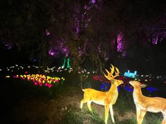 -渔岛海洋度假区