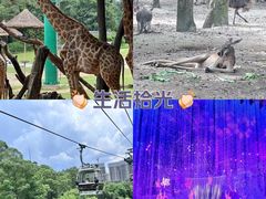 -广州长隆野生动物世界