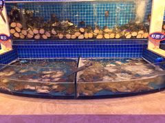 水产区-乔哥铭洋海鲜自助(皇城恒隆广场店)