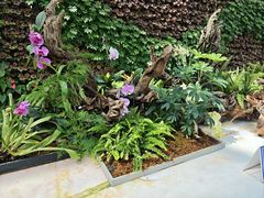 -石家庄市植物园