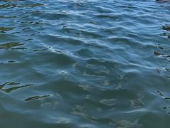 -佳明游泳馆(惠新西街南口店)