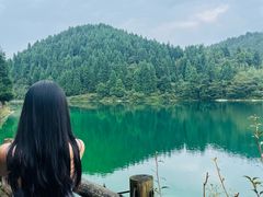 -武陵山森林公园