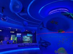 -石家庄海洋公园