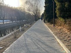 -元大都城垣遗址公园