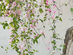 -深圳国际园林花卉博览园