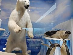 -国家自然博物馆