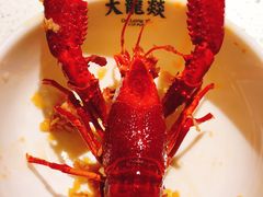 -红盔甲·小龙虾(天钥桥店)