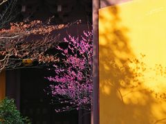 -慧因高丽寺
