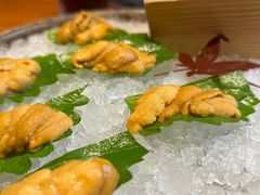 -月龍吟(朝龙汇店)