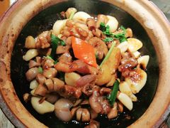 -大榕树下顺德菜(融创茂店)