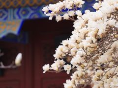 -天津大悲禅院