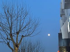 -协和菜馆(凤凰街店)