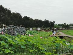 -武汉紫薇都市田园