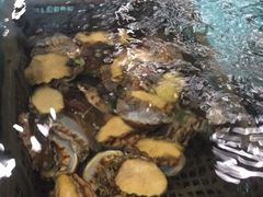 -渔人湾码头海鲜市场负二楼