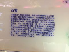 -贝壳梦幻世界