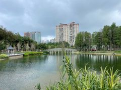 -四海公园(南山区)