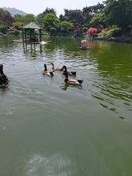 -玄武湖景区-情侣园游乐场