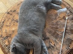 -Me Coffee下午茶艺术空间