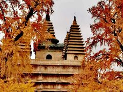 -北京石刻艺术博物馆(五塔寺)