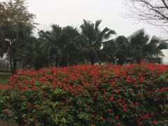 -水晶广场