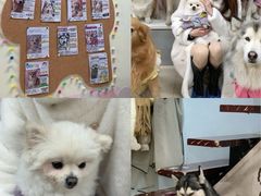 -汪说·狗咖(旺城大厦店)