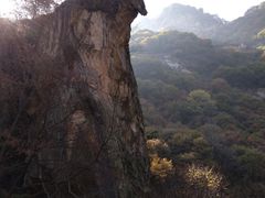 -少华山国家森林公园