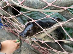 -华夏文旅海洋公园