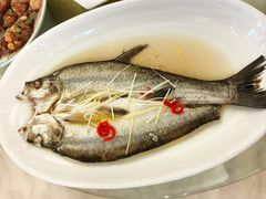 清蒸白鱼-三凤酒家·百年无锡菜(中山路店)