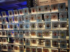 -Sirena海妖日咖夜酒