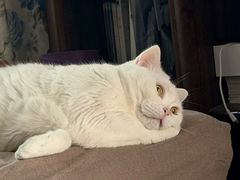 -米字格米粉(大寨沟店)