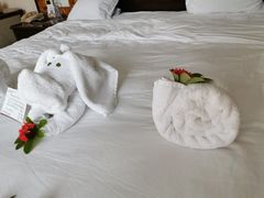 -三亚亚龙湾雅高铂尔曼别墅度假酒店